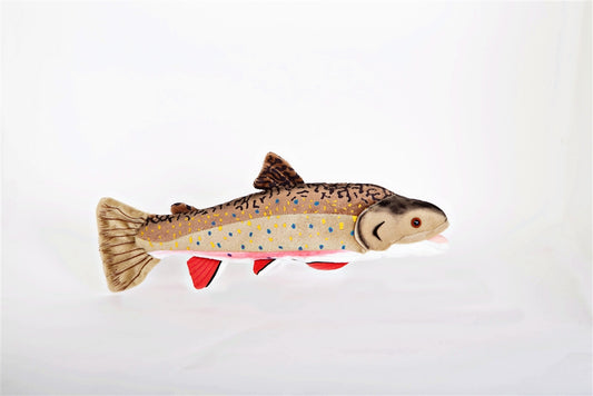 Brook Trout