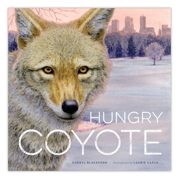 Hungry Coyote