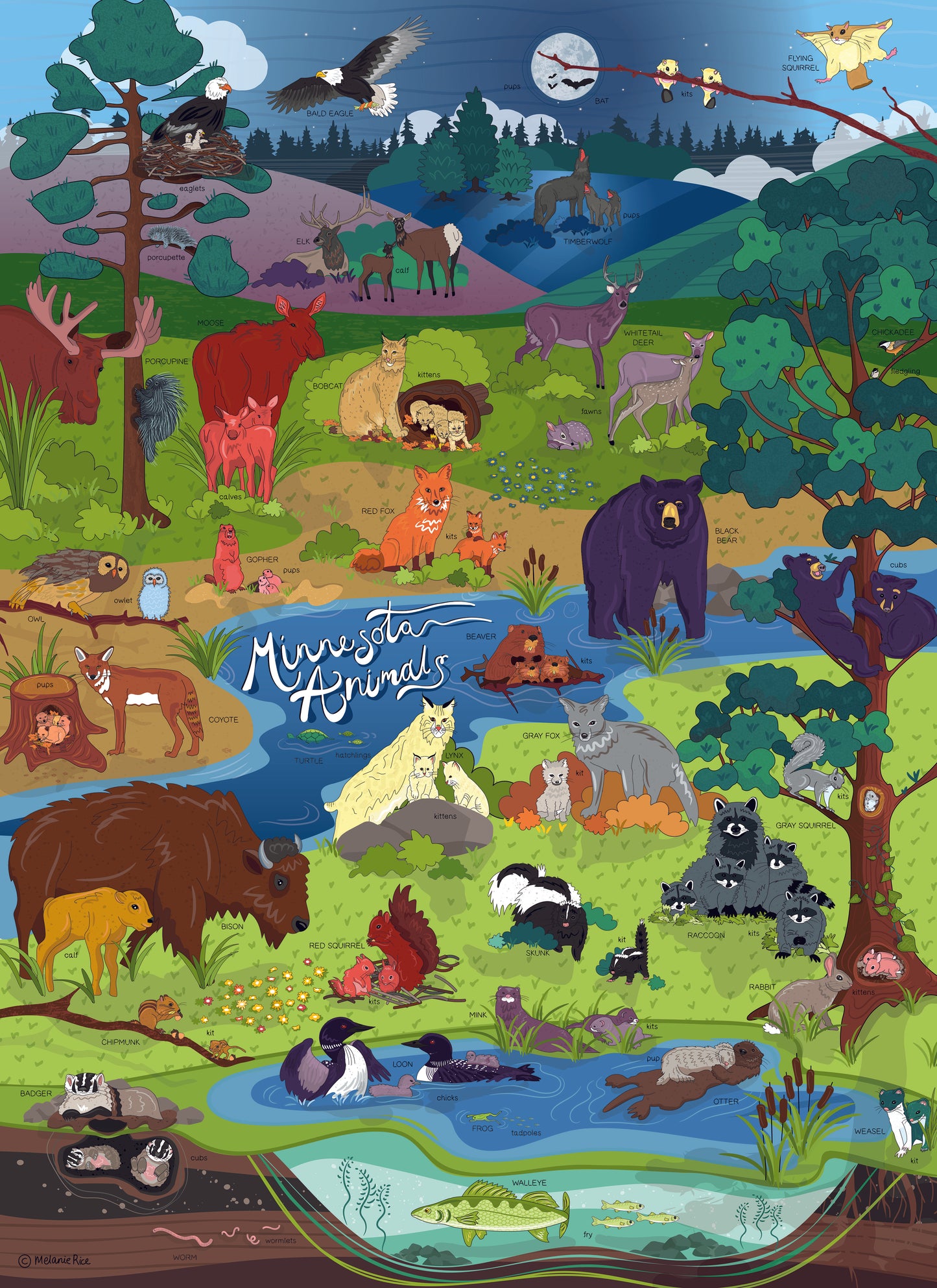 Minnesota Animal Families 500 Piece Puzzle