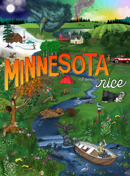 Minnesota (Not Always So) Nice 1000 PC Puzzle