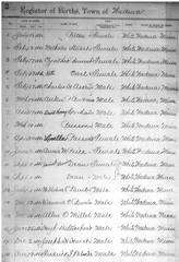 Death and Birth Records, Early (pre-1904)