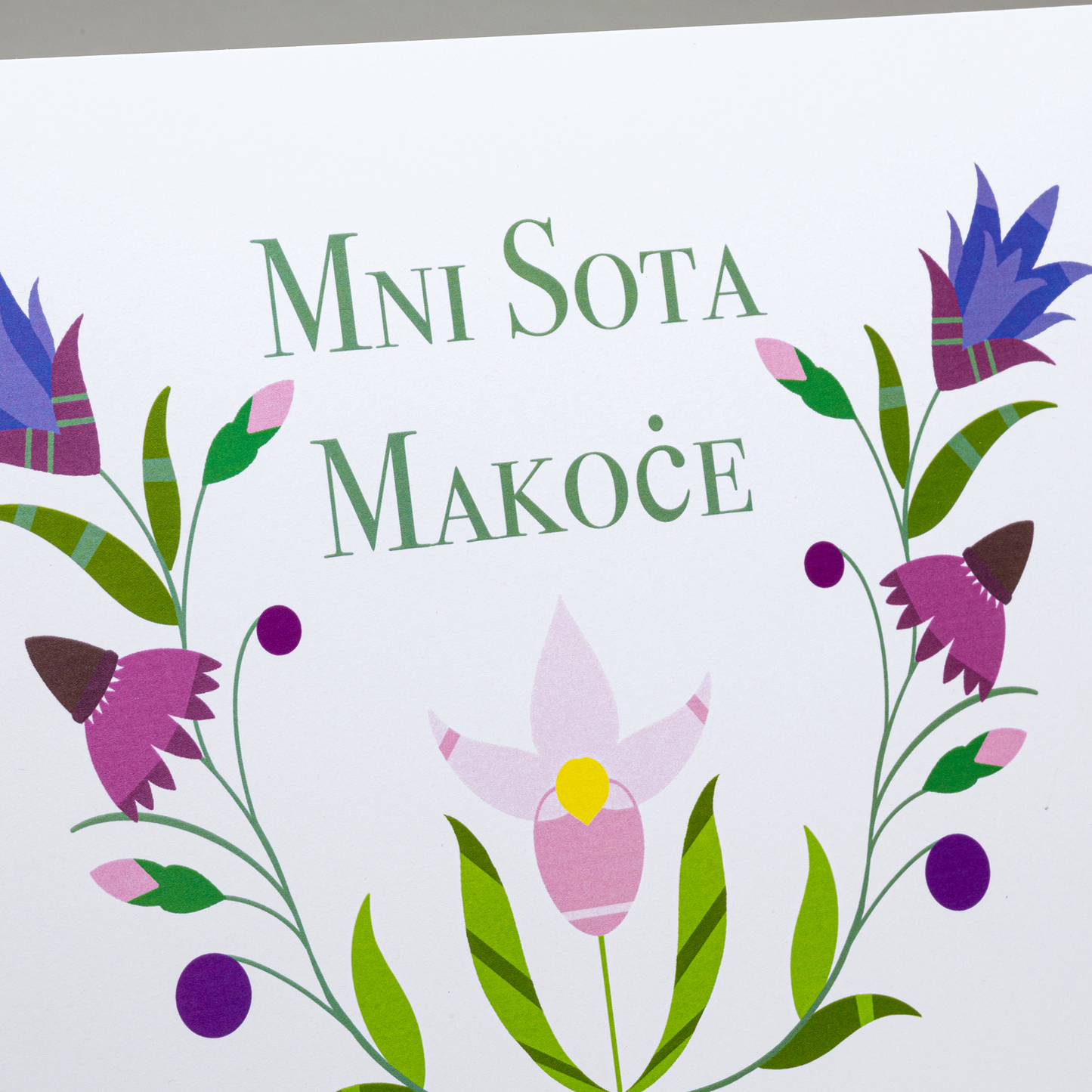 2025 Limited Edition Cole Redhorse Taylor- 8x10 Frameable Print