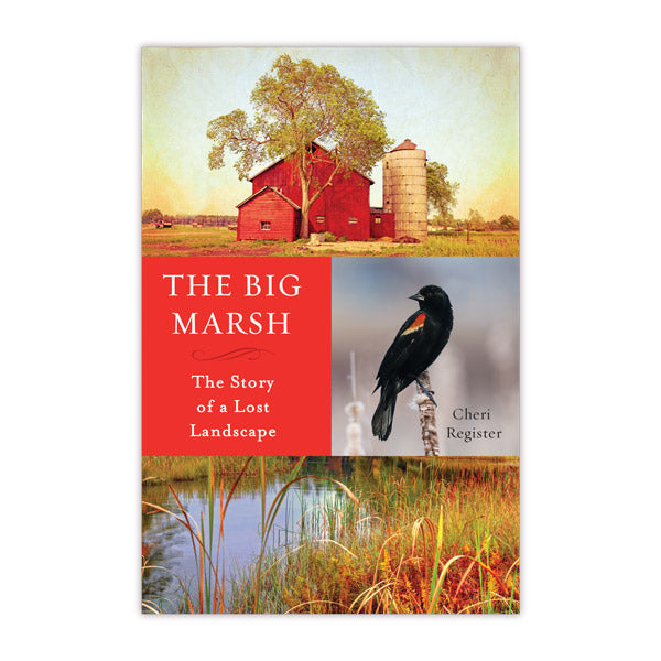 The Big Marsh